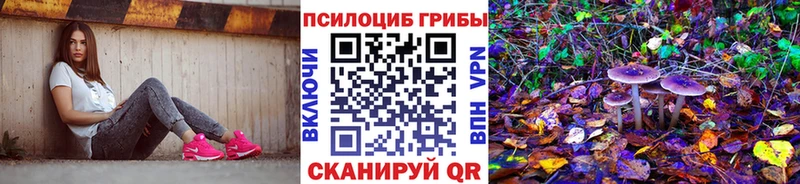 Купить  Баксан  Галлюциногенные грибы Cubensis 