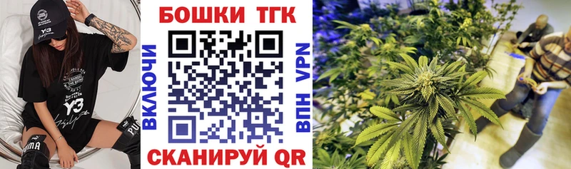 Купить Баксан Бошки марихуана Amnesia